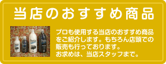 サンプルイメージ1